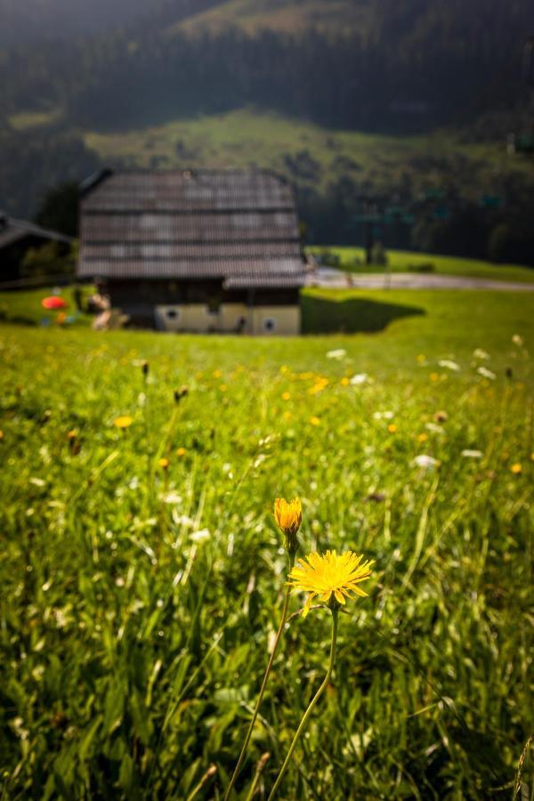 Ferienwohnung Schirla Stub´m Krispl Exterior foto